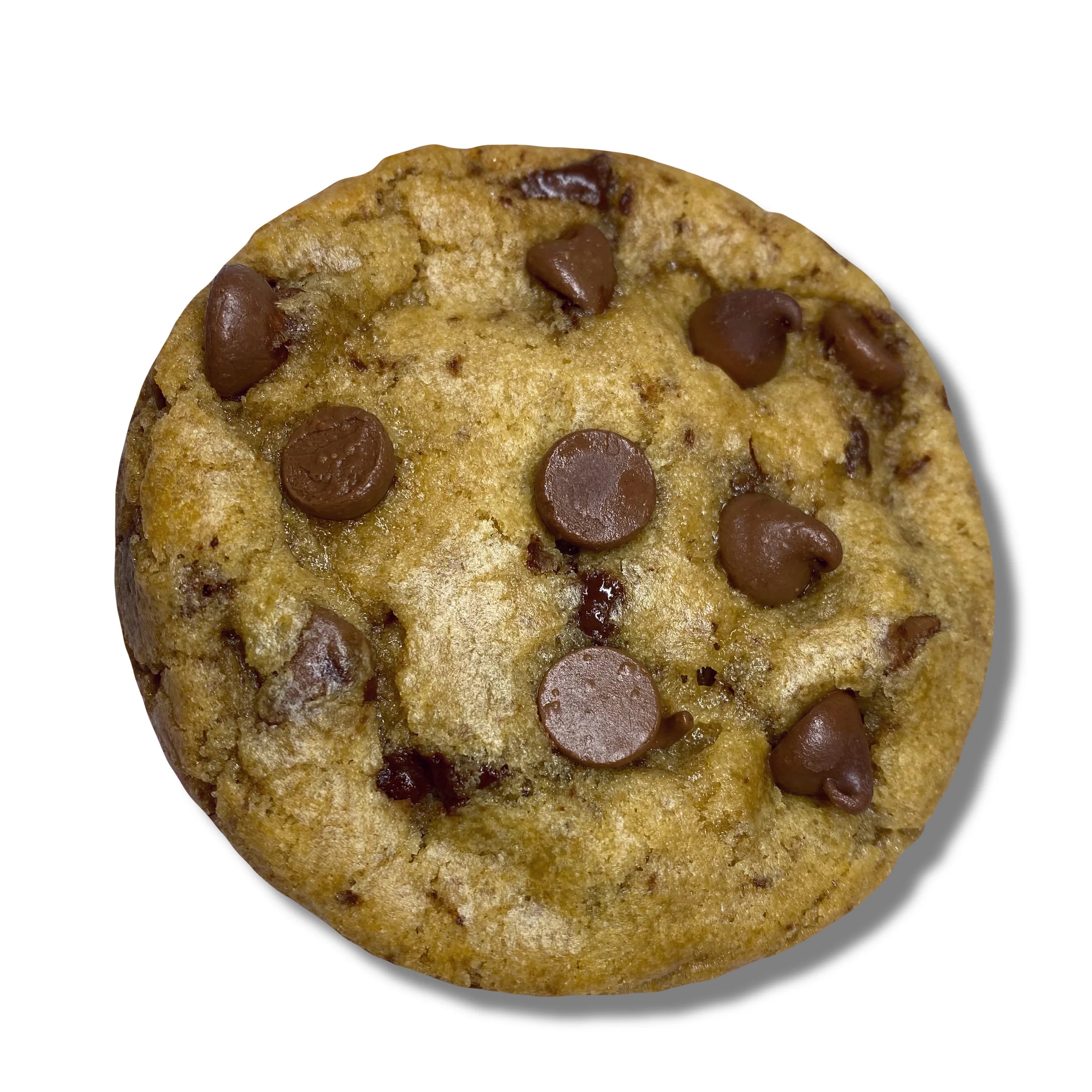 Chocolate Chip 