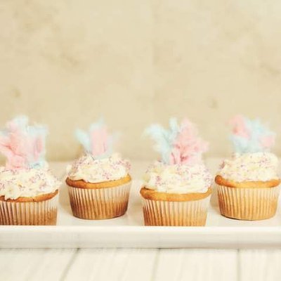 4 Pack Cupcakes