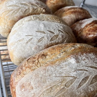 Everything Sourdough