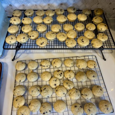Sourdough Mini Muffins
