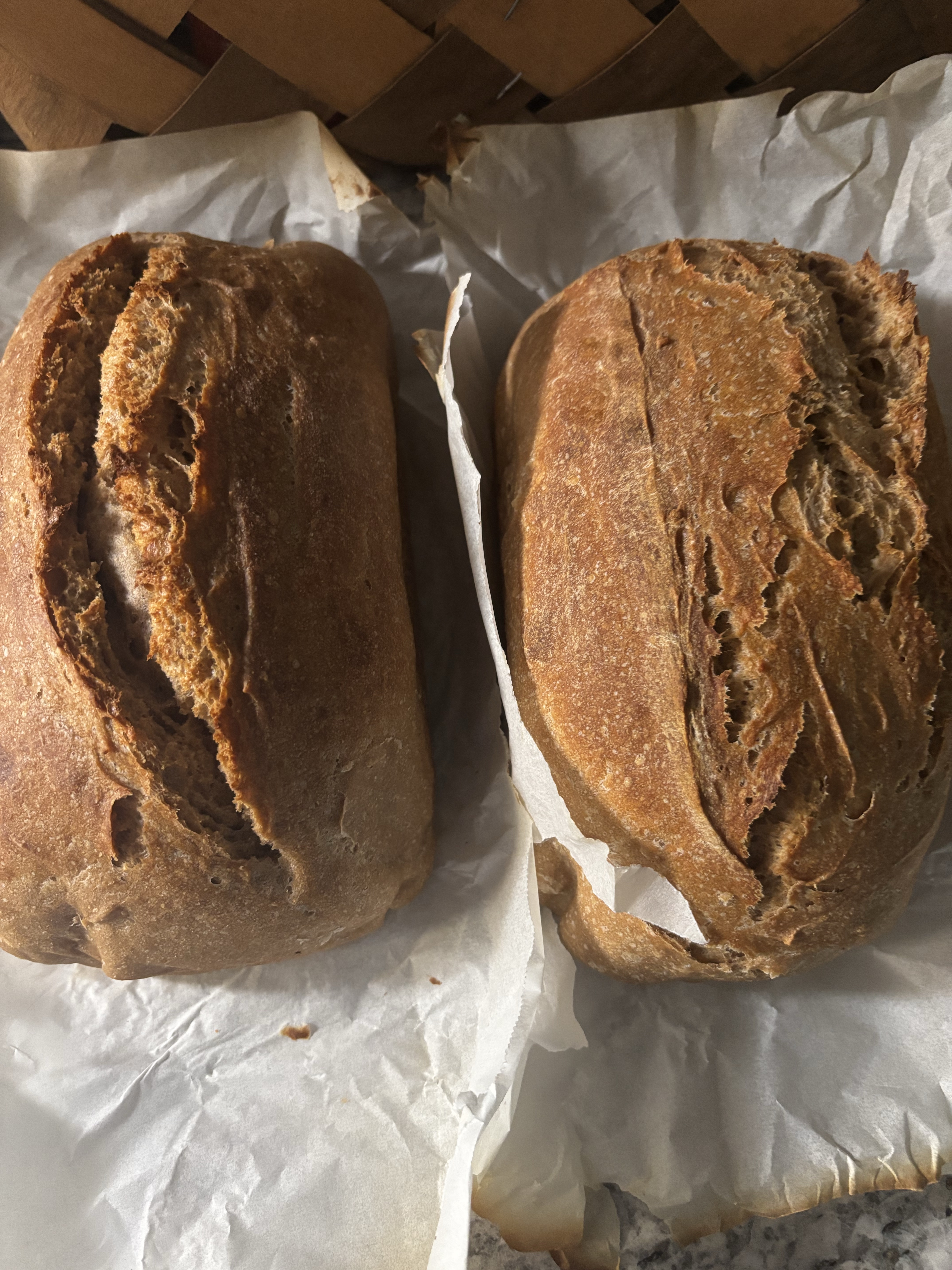 Artisan Loaf- Organic Whole Wheat Sourdough Bread