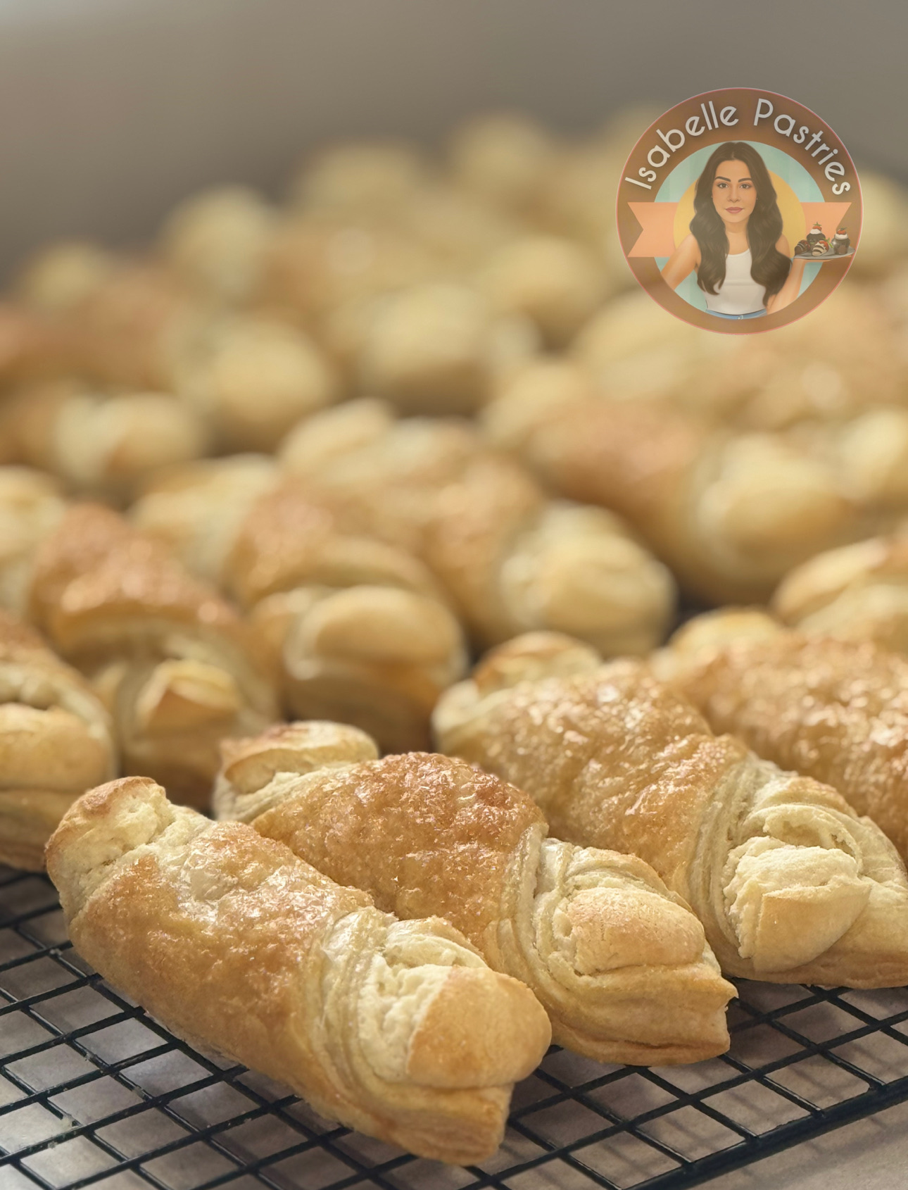 Quesitos