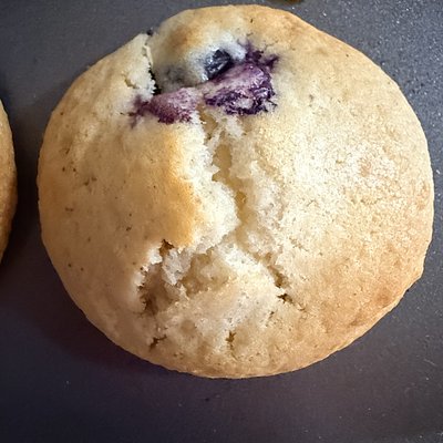Jumbo Blueberry muffin