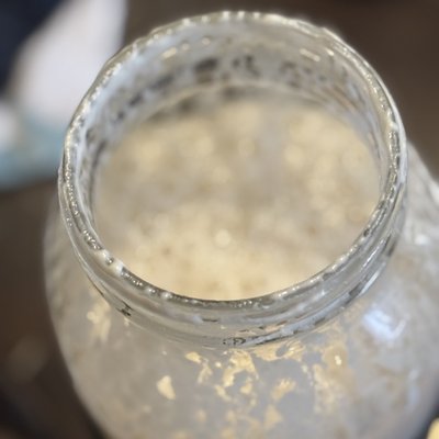 Sourdough Starter 
