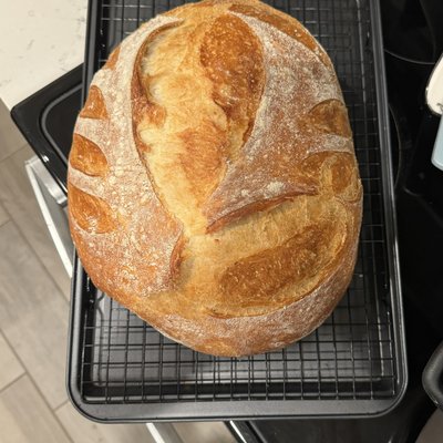 Italian Crusty Bread