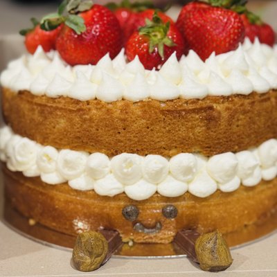 Jelly Cat Cake