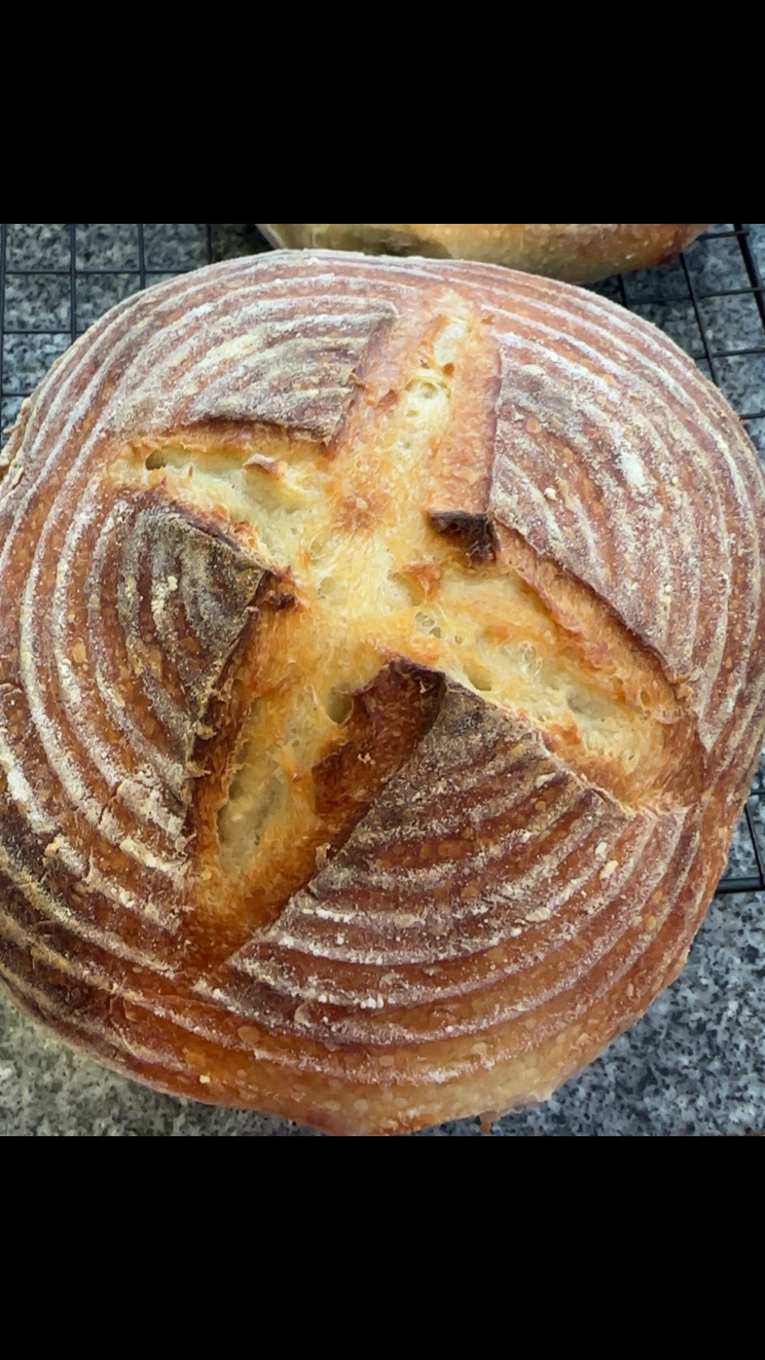 Classic Sourdough
