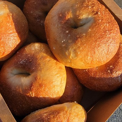 6 Count Sourdough Bagels 