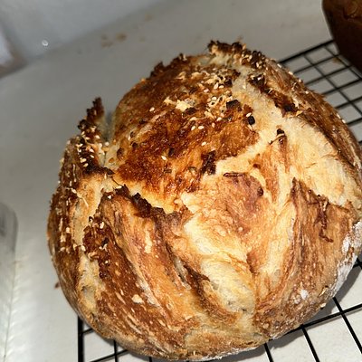 Everything Asiago Sourdough