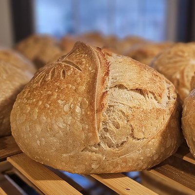 Classic Sourdough Loaf 