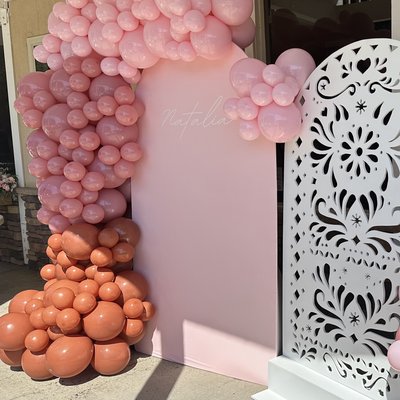 Balloon Garland + 2 Backdrops