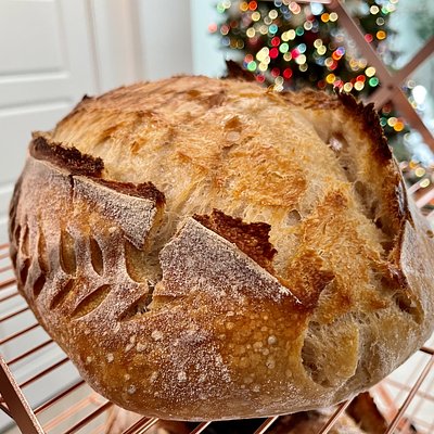 Roasted Garlic Rosemary Sourdough (~1000g)