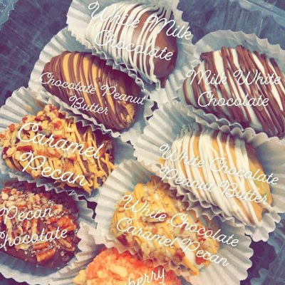 Chocolate Covered Apple Slices