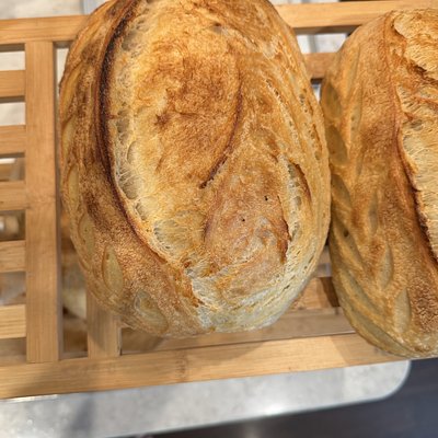 Artisian Sourdough Bread