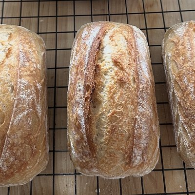 MINI - Classic Sourdough Loaf