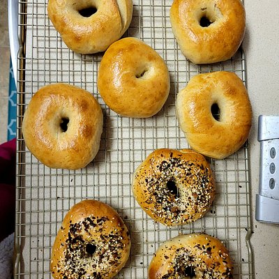 Poppy Seed Bagels 