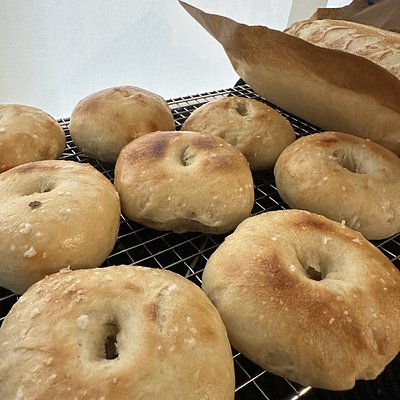 Sourdough Bagels (6 Pack)