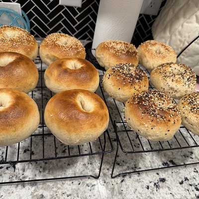 Sourdough Bagels (4 Ct)