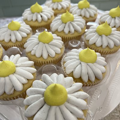 Vanilla Cupcakes 
