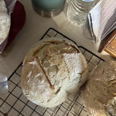 Mini Sourdough 