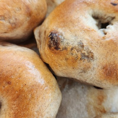 Cinnamon Raisin Bagels