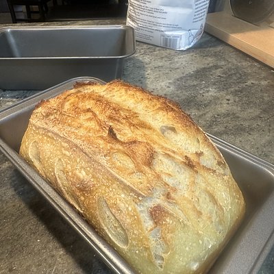 Sourdough Plain