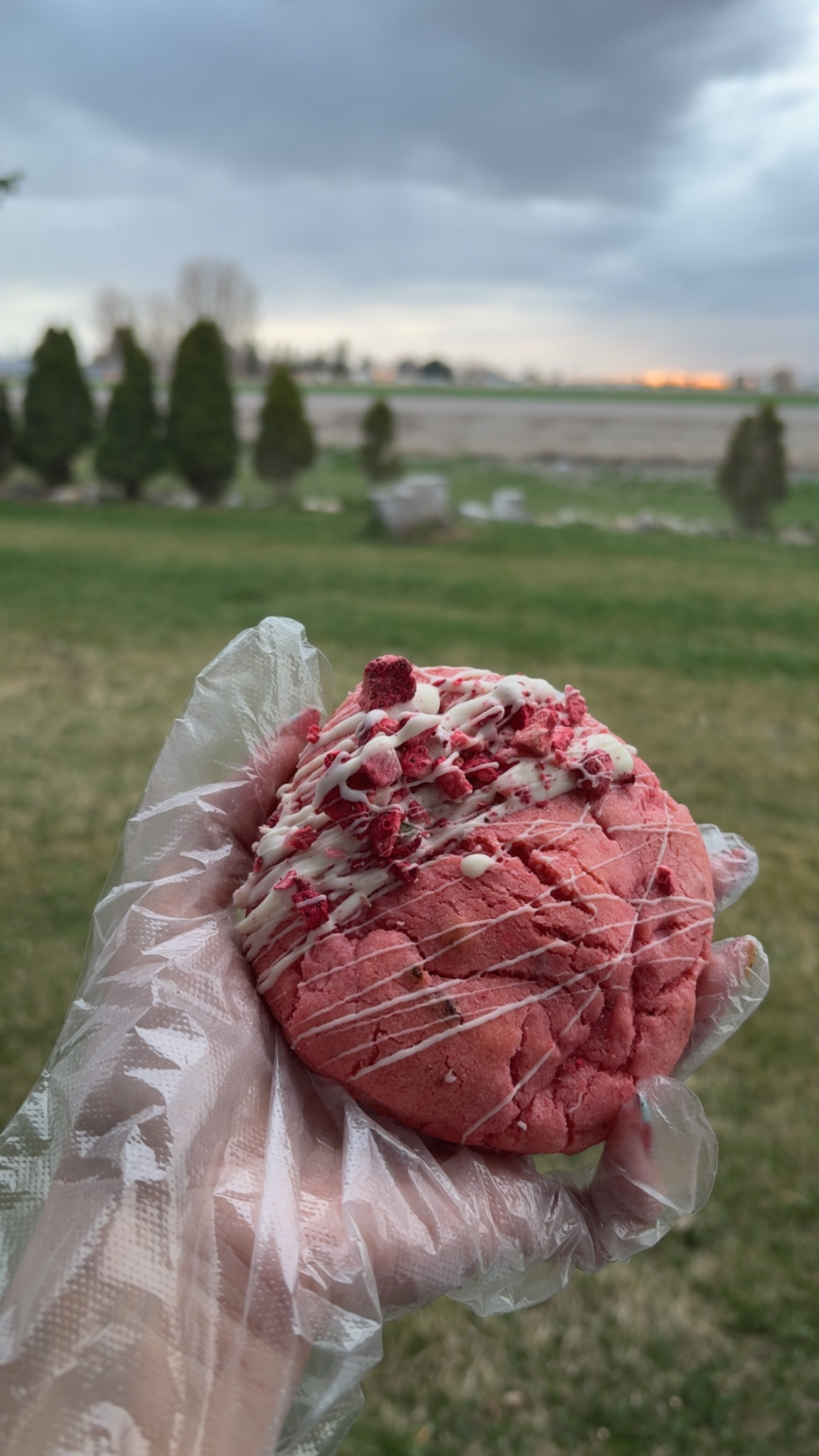 Strawberry Cheesecake Or Jam Only 