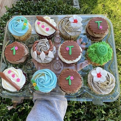Decorated Cupcakes