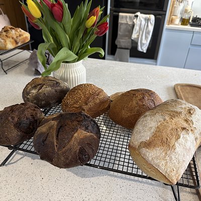 Rye SourDough