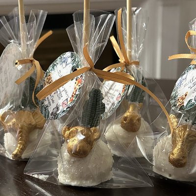 1 Dozen Safari Theme Custom Cake pop