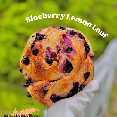 Blueberry Lemon Sourdough Loaf