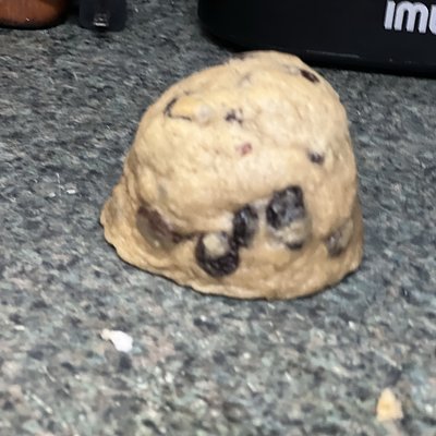 Gourmet Oatmeal Raisin Cookie Stuffed With Toasted Marshmellow Cream