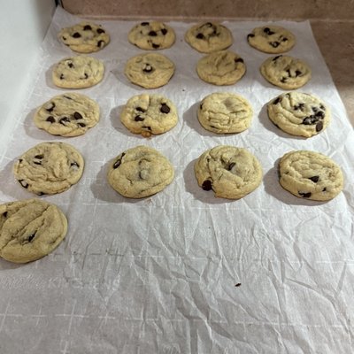 Chocolate Chip Cookies(12) 
