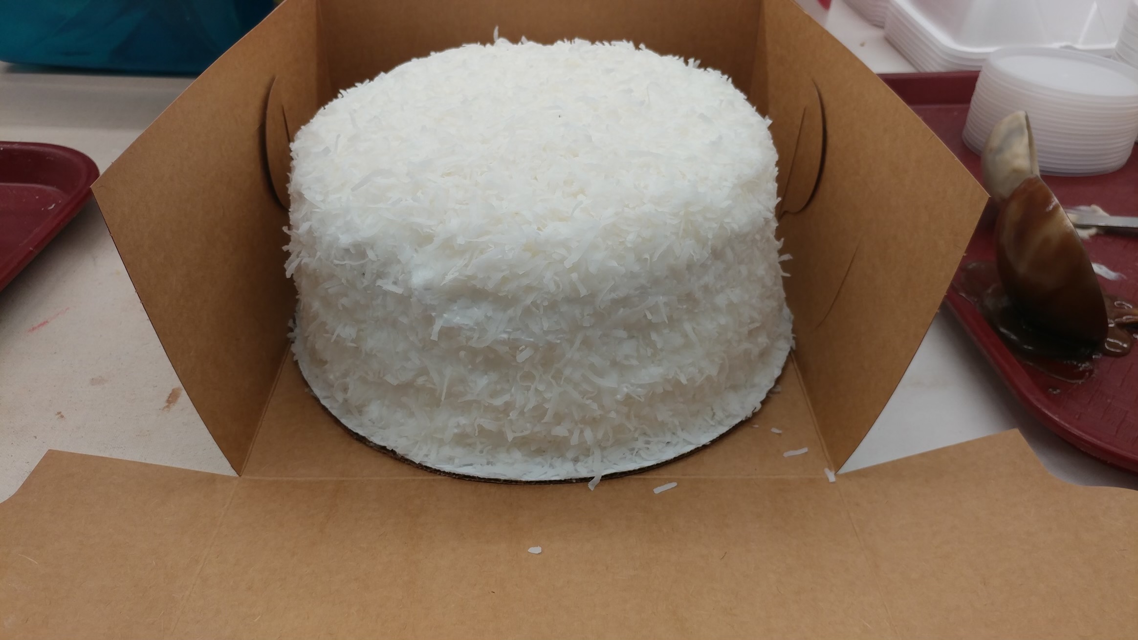 Coconut Cake 9”Round