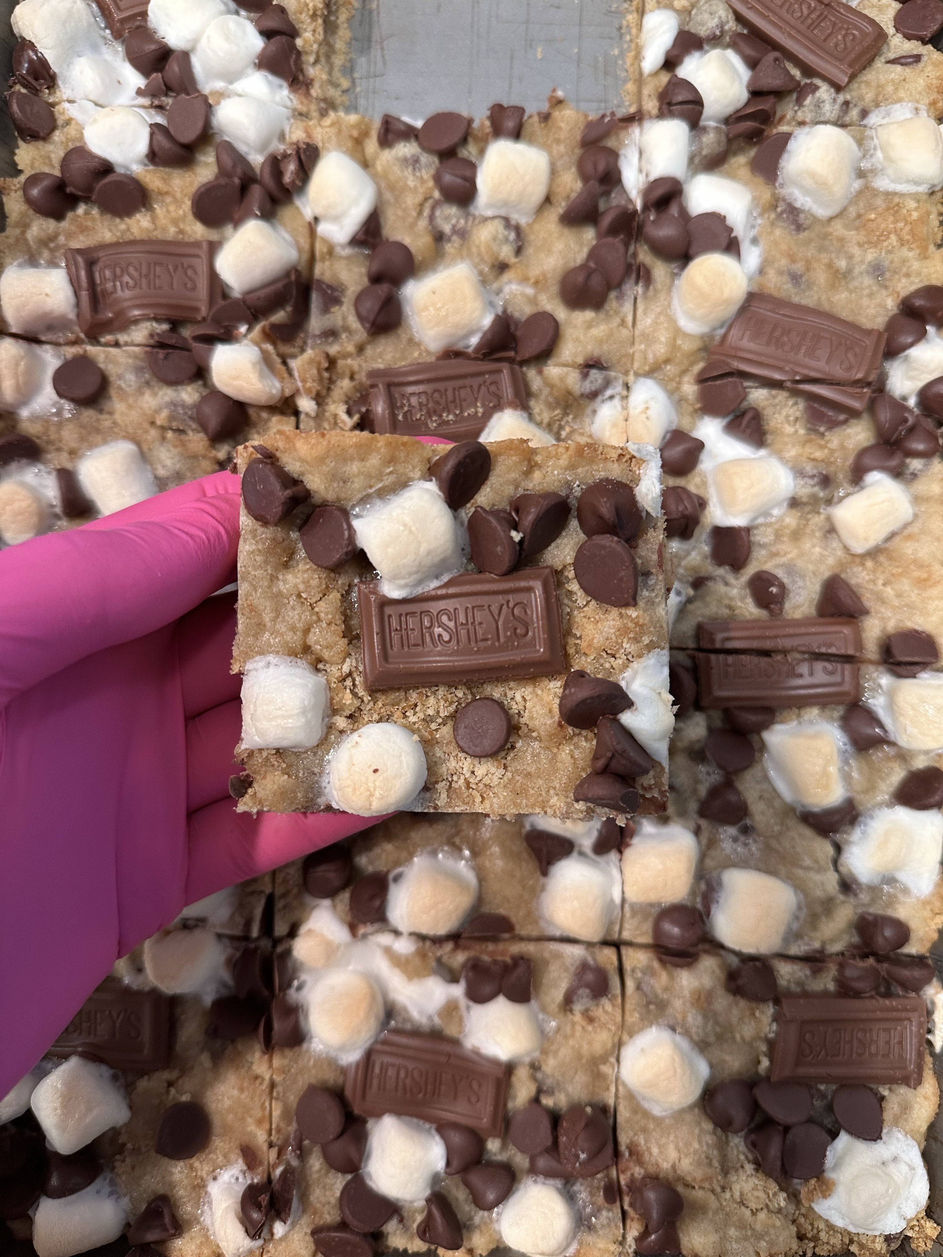 S’mores Bars 