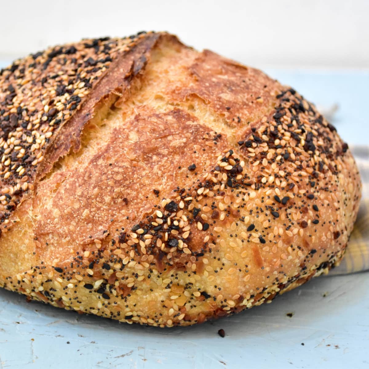Everything But The Bagel