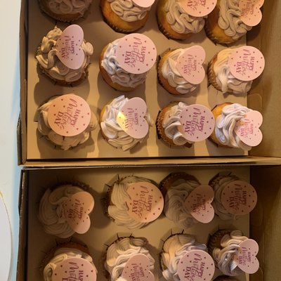  Dozen Cupcakes