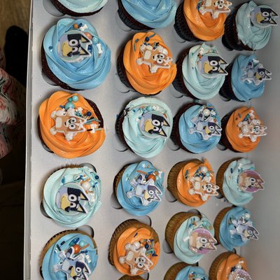 Cupcakes By The Dozen