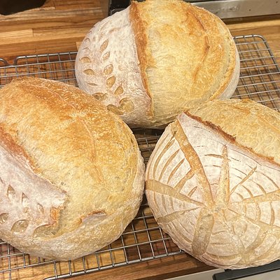 Presale - Original Sourdough