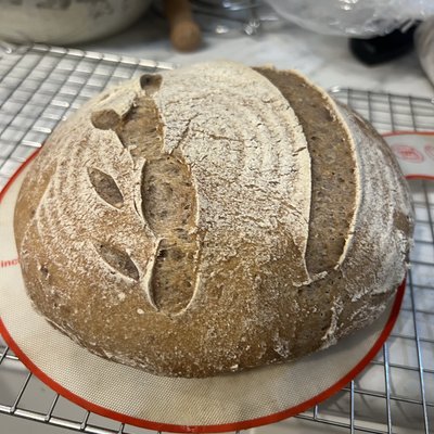 Gluten Free Sourdough Loaf