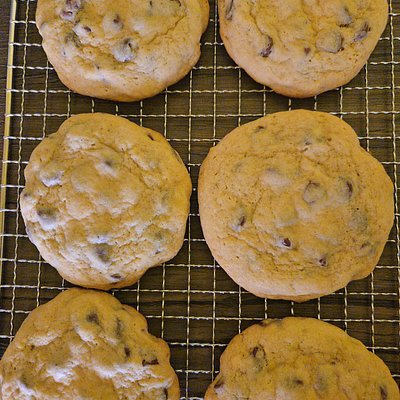 Chocolate Chunk Cookies 