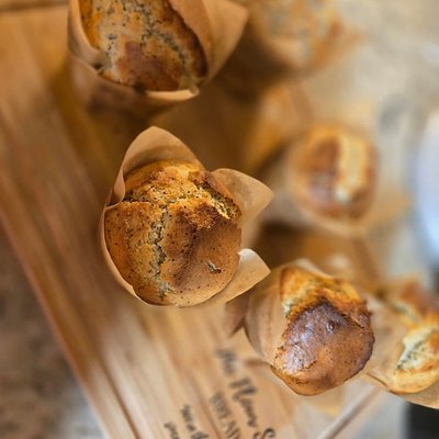 Sourdough Lemon Poppy Seed Muffins