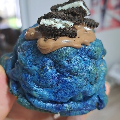 The Cookie Monster