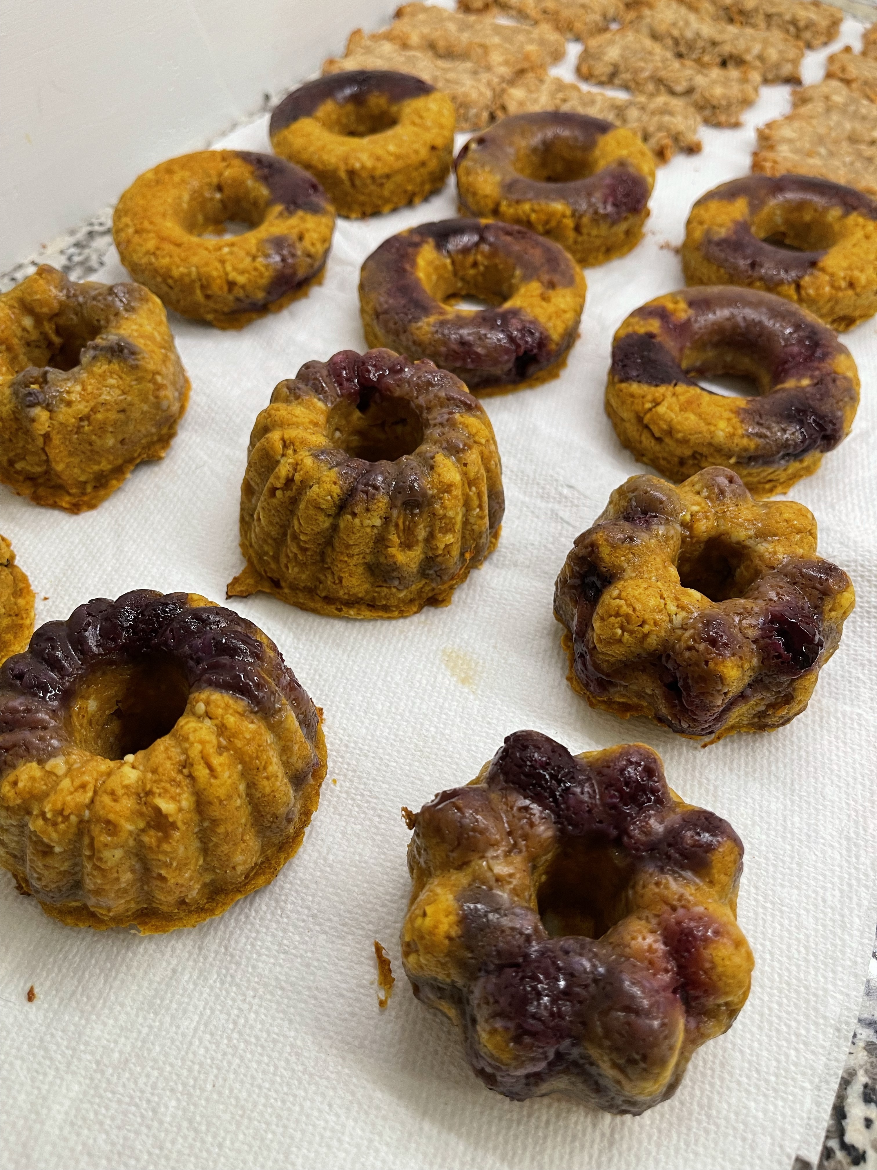 Blueberry Pumpkin Donuts 