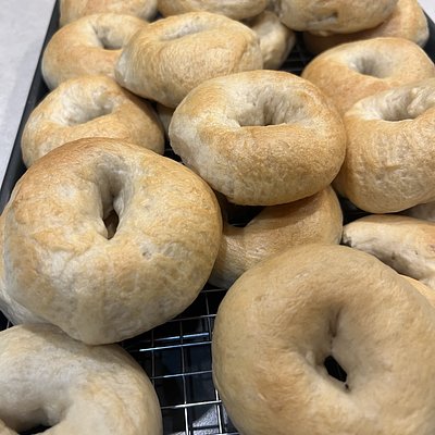 12ct Plain Sourdough Bagels 