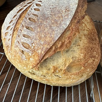 Sourdough Bread 