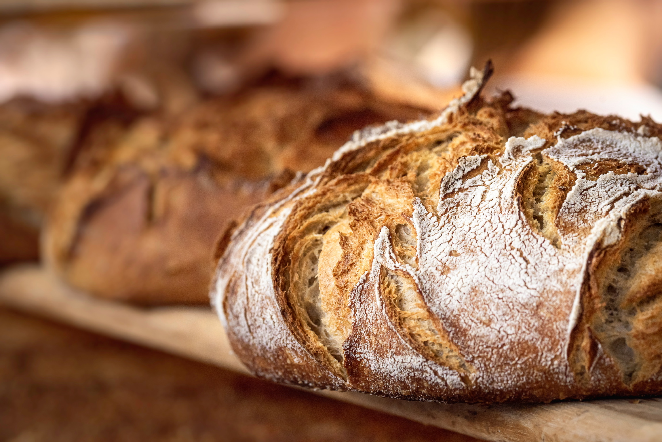 Two Flavor Sweet Sourdough Loaf