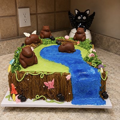12in Custom Cake