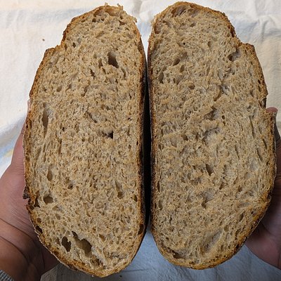 Fresh Milled Sourdough Round/Oval/Sandwich Loaf