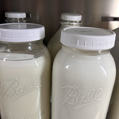 Half Gallon Of Goat Milk